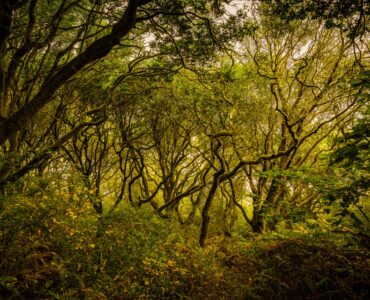 Tomales Bay State Park