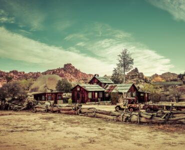 Joshua Tree