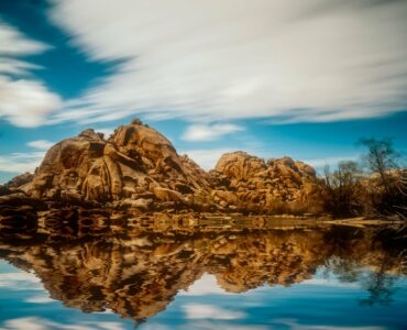 Joshua Tree