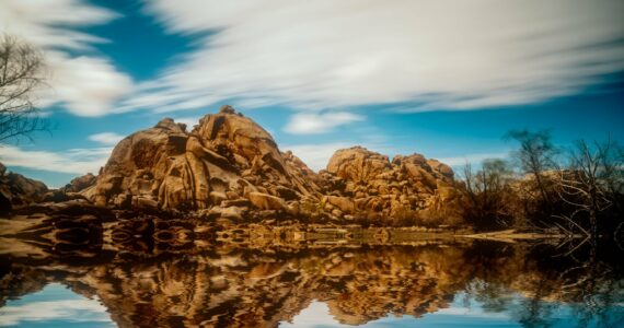 Joshua Tree